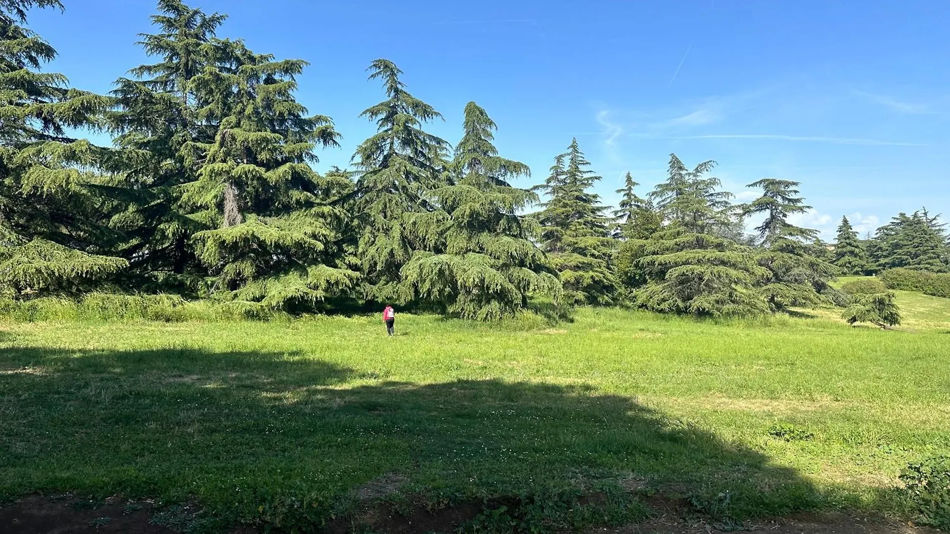 Olimpia Villa Pamphili - Centro Storico Di Roma - Gianicolo Trastevere San Pietro 0*, Rome Italy